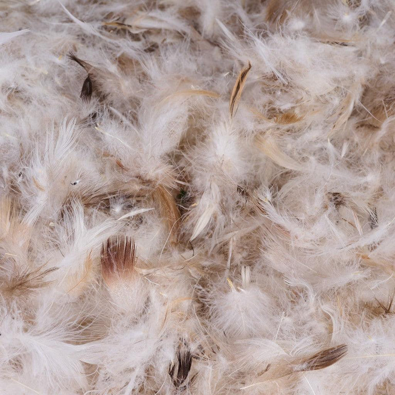 CushionCraft Down Fill Loose Pillow & Cushion Fill